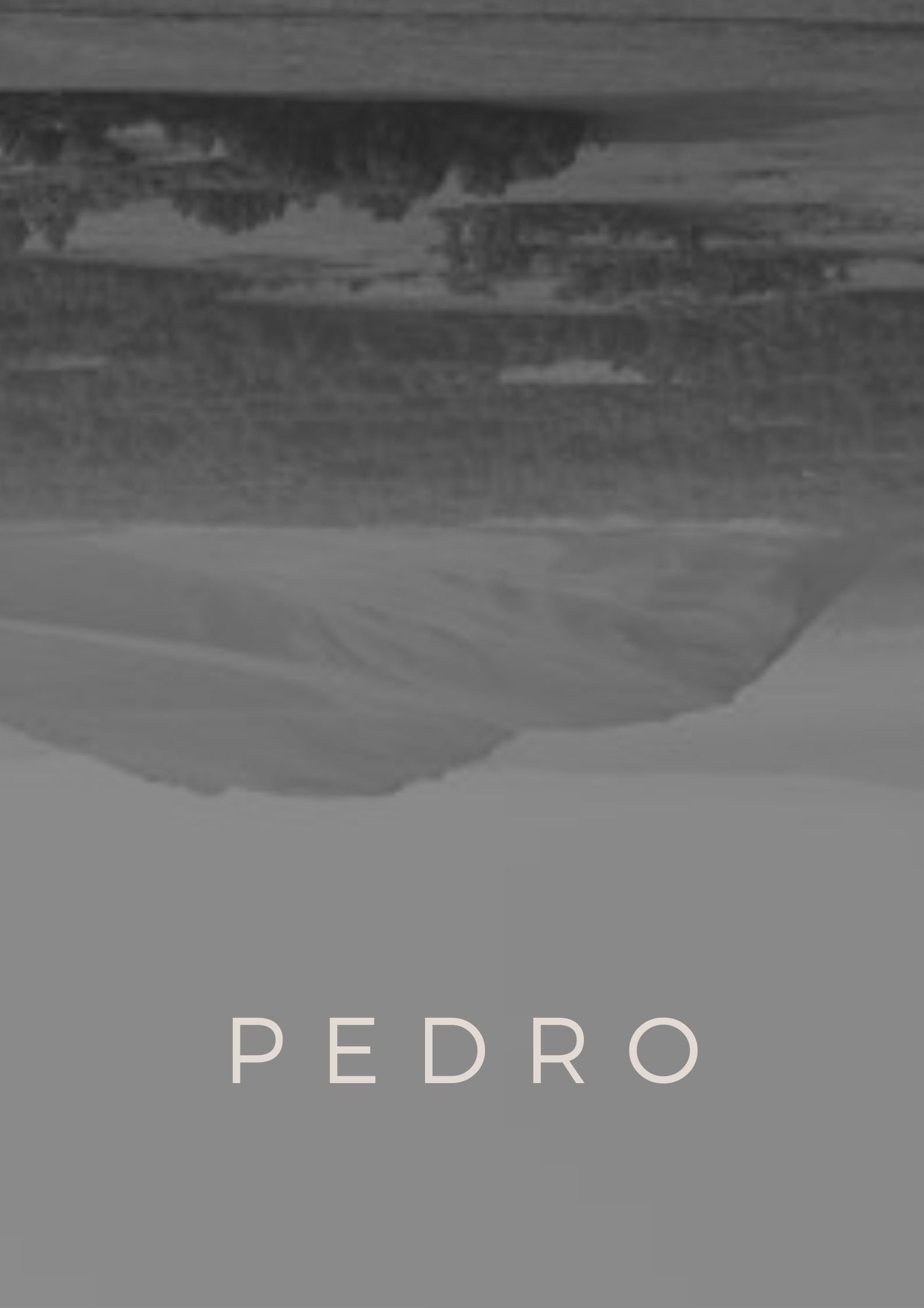 Poster de Pedro