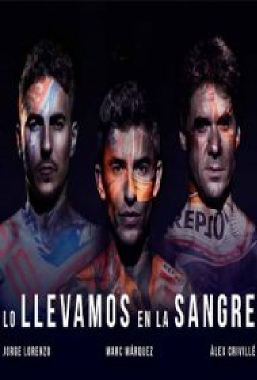 Poster de Lo llevamos en la sangre