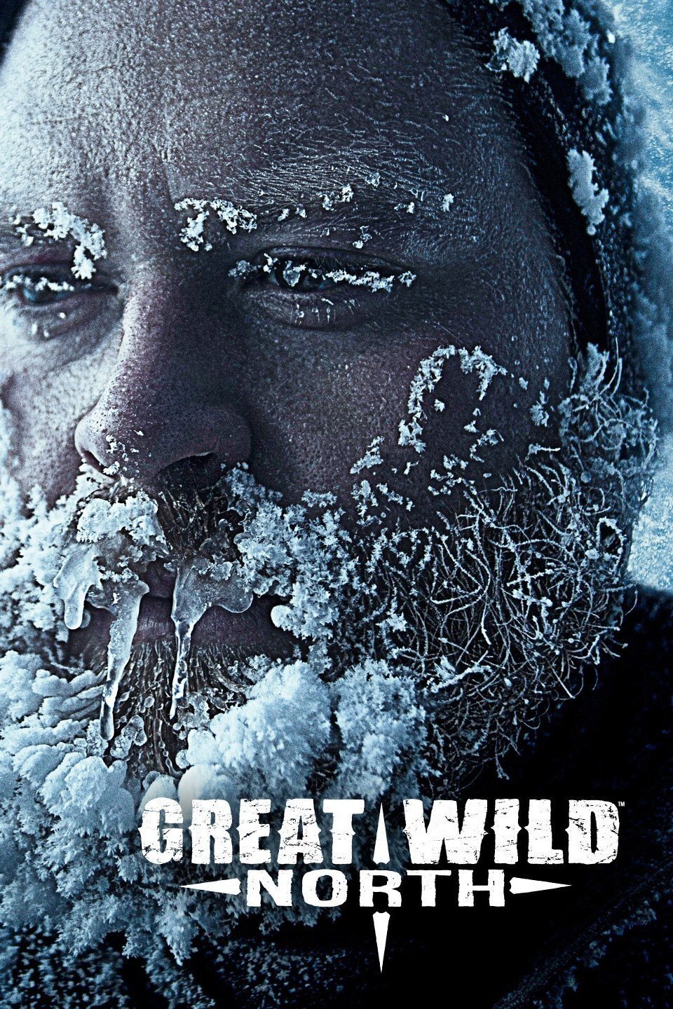 Poster de Great Wild North