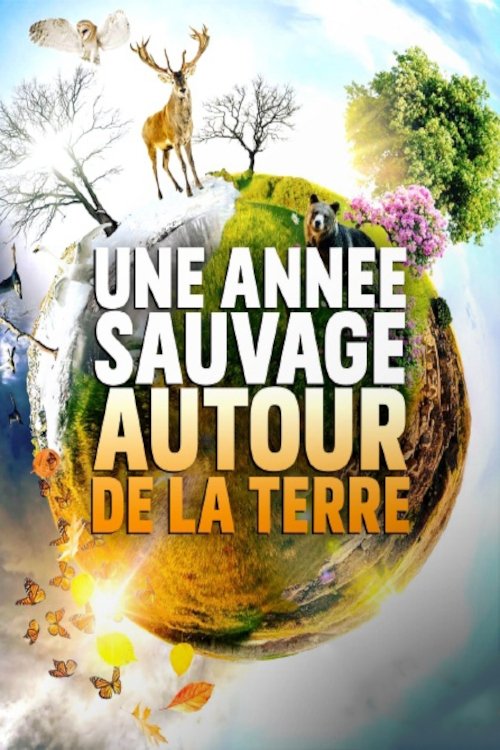Poster de Une année sauvage autour de la Terre