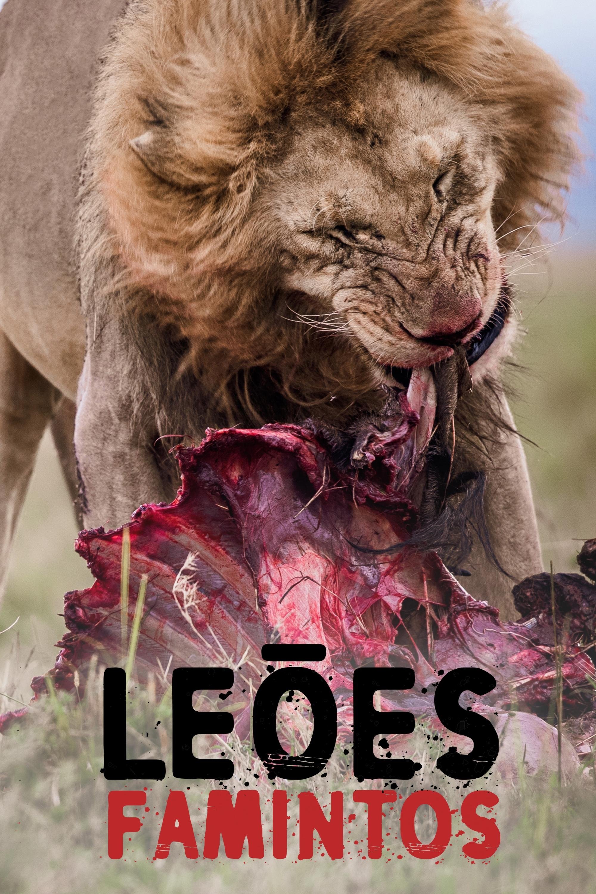 Poster de Leões Famintos