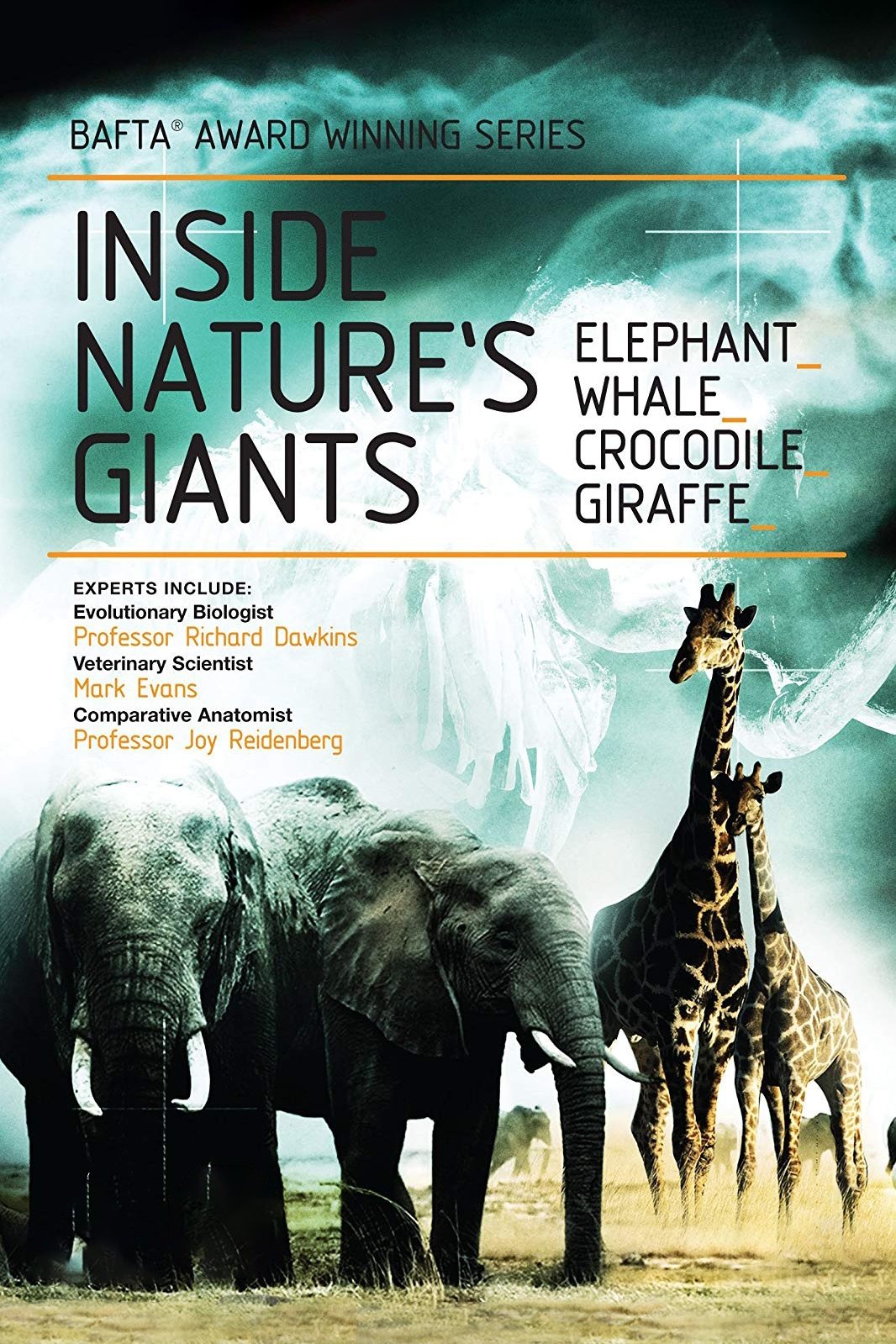Poster de Gigantes da natureza