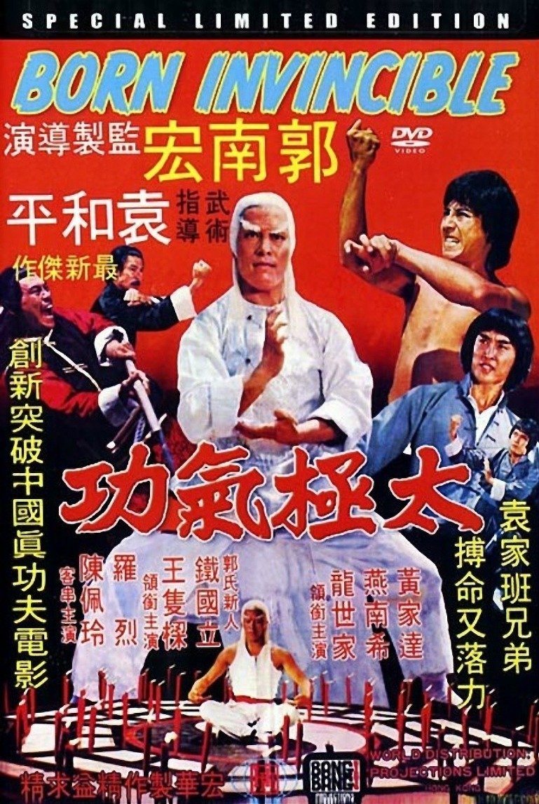 Affiche du film 太极气功