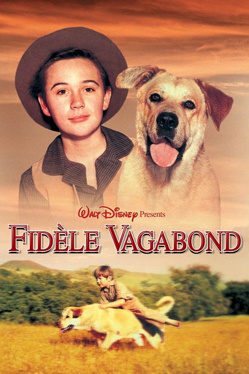 Affiche du film Fidèle vagabond