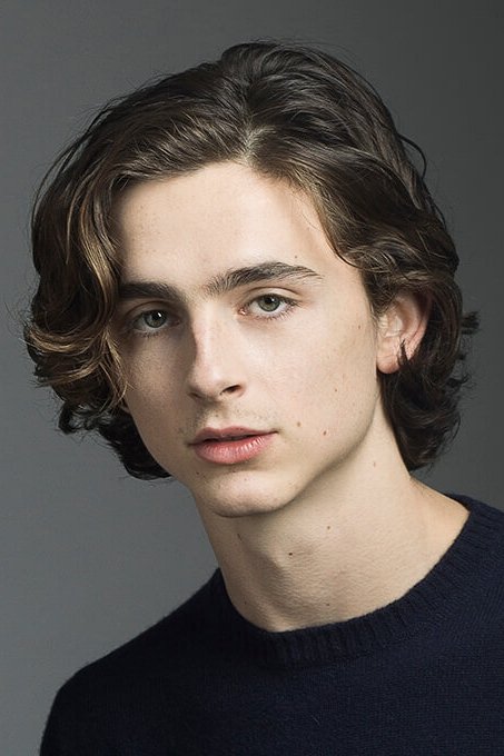 Foto de Timothée Chalamet