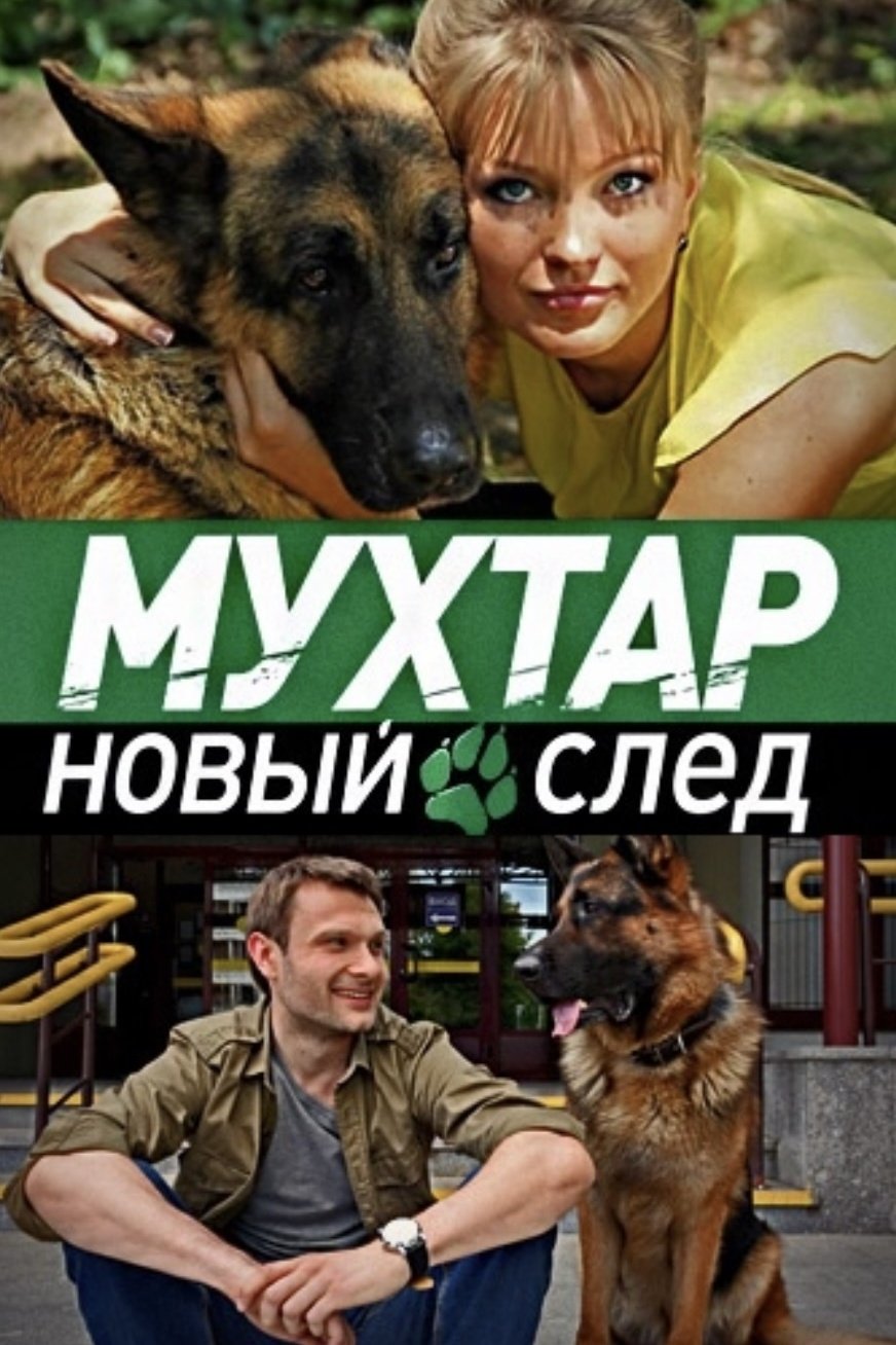 Poster de Temporada 12