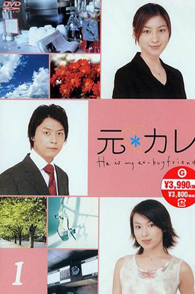 Poster de 元カレ