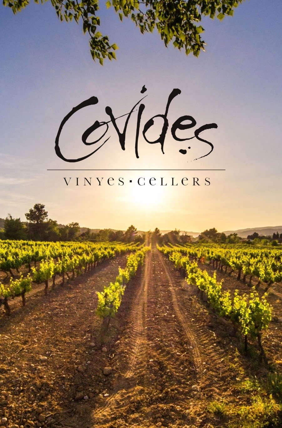 Poster de Compartim Vides