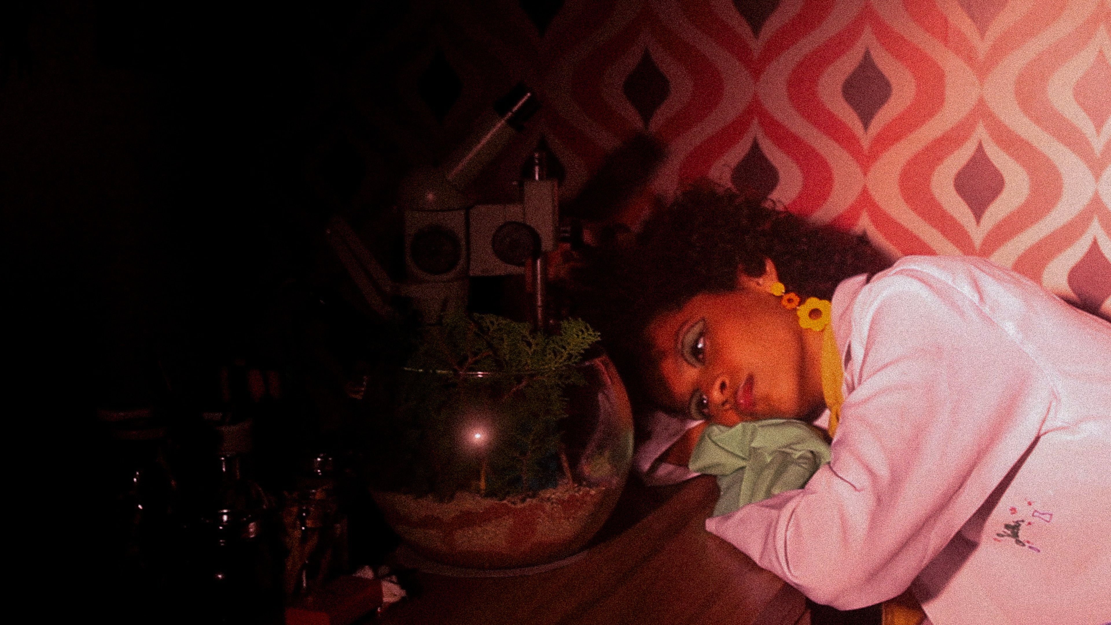 Terrarium
