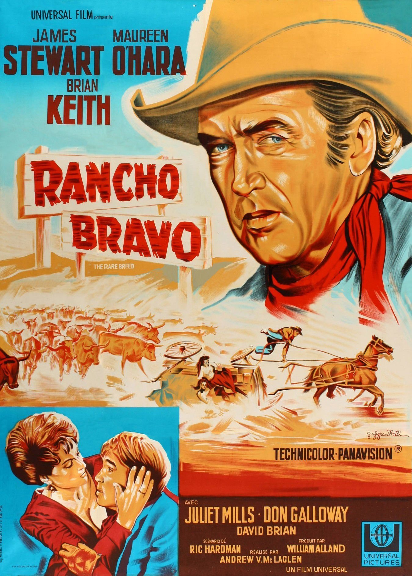 Affiche du film The Rare Breed