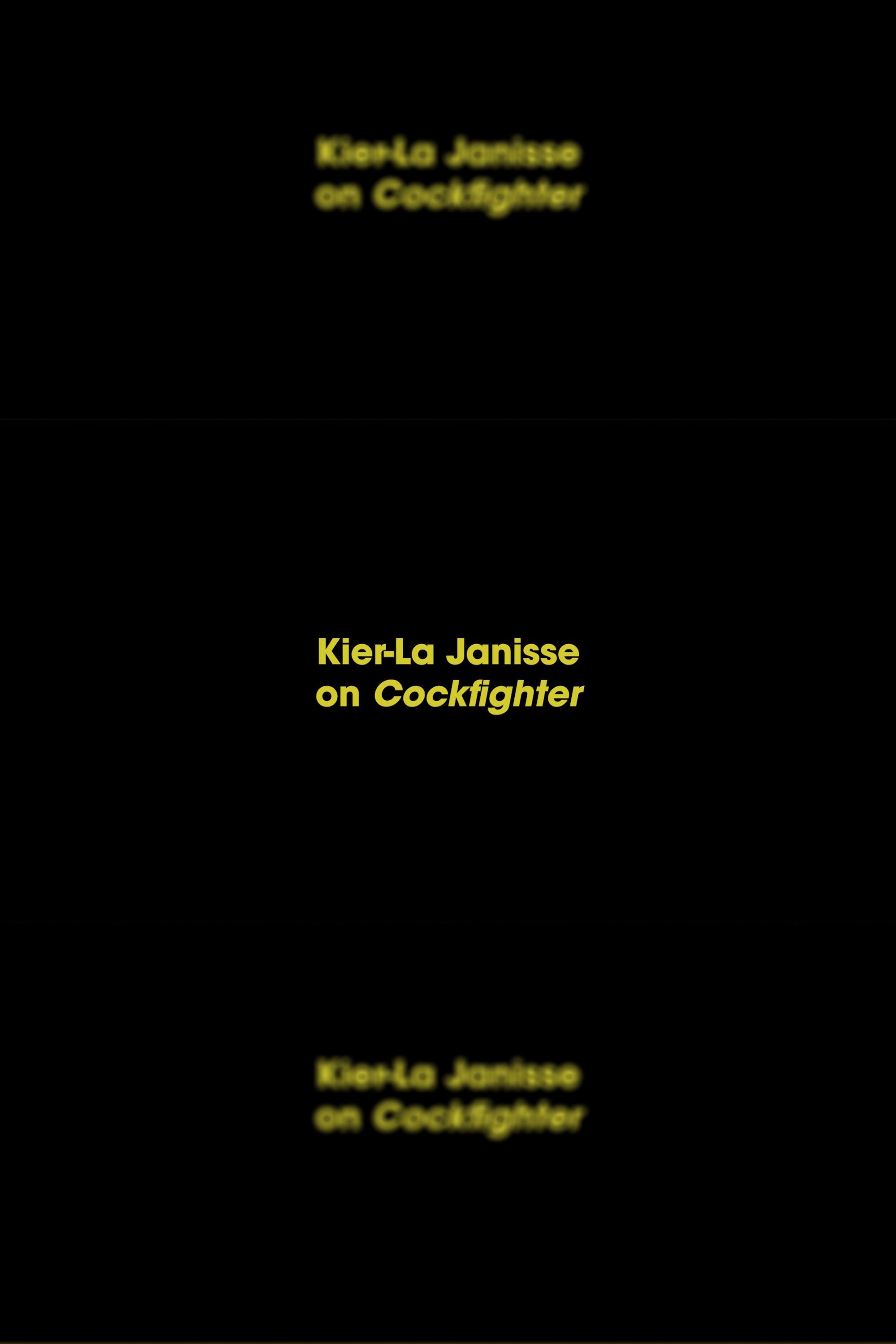 Affiche du film Kier-La Janisse on Cockfighter