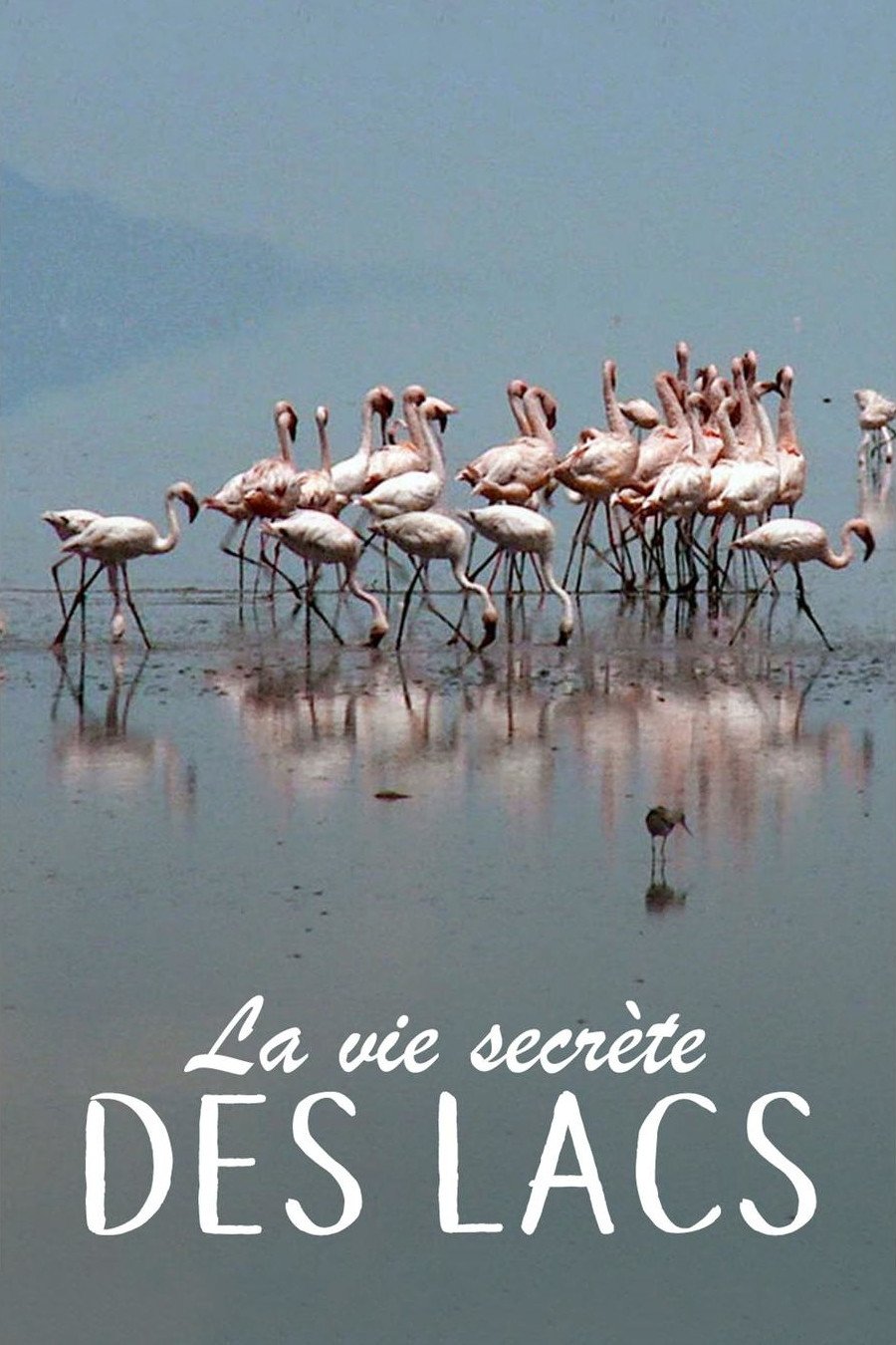 Poster de La Vie secrète des lacs
