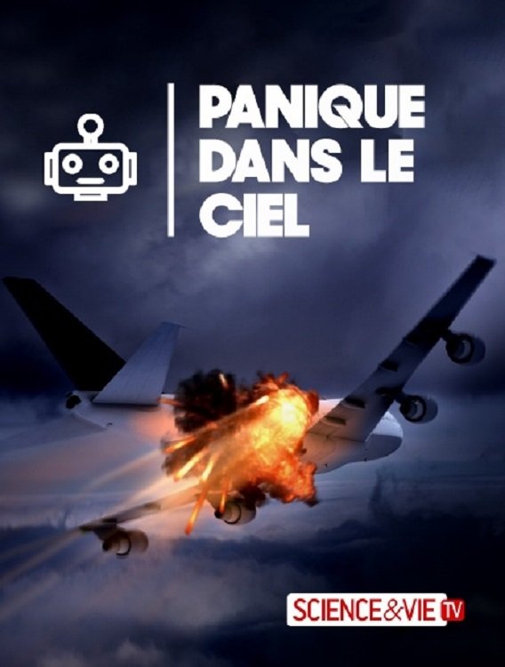 Poster de Planes Gone Viral