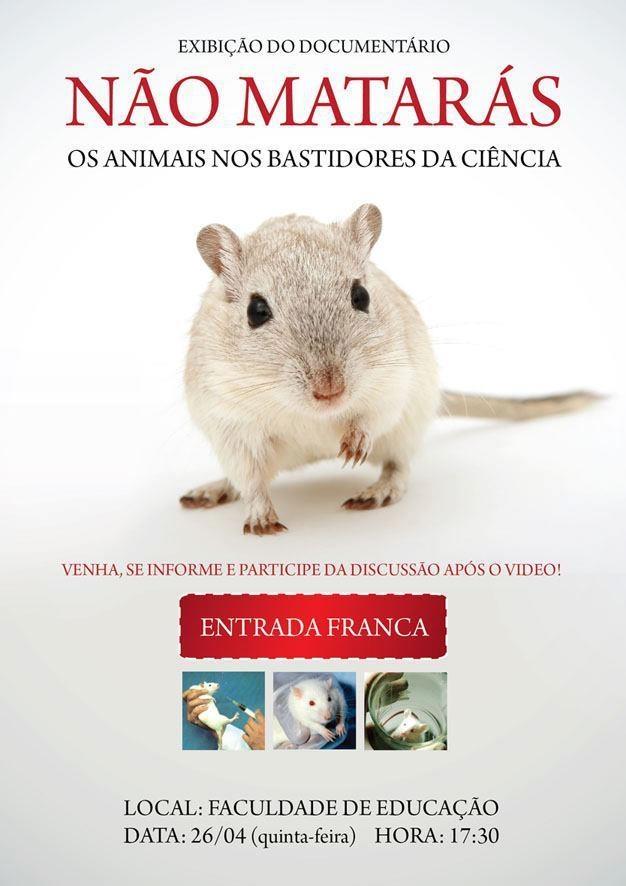 Poster de Não Matarás