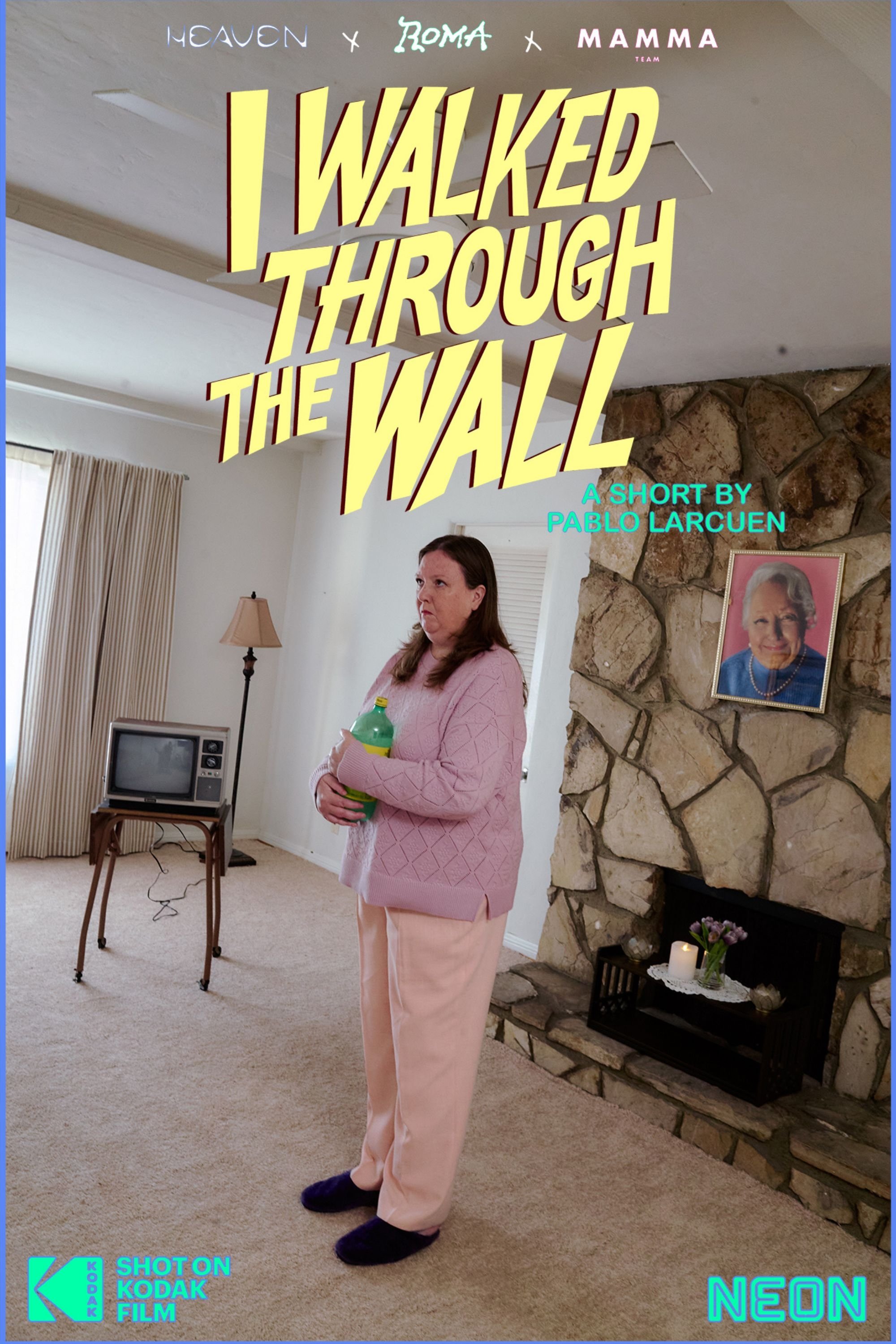 Poster de I Walked Through the Wall
