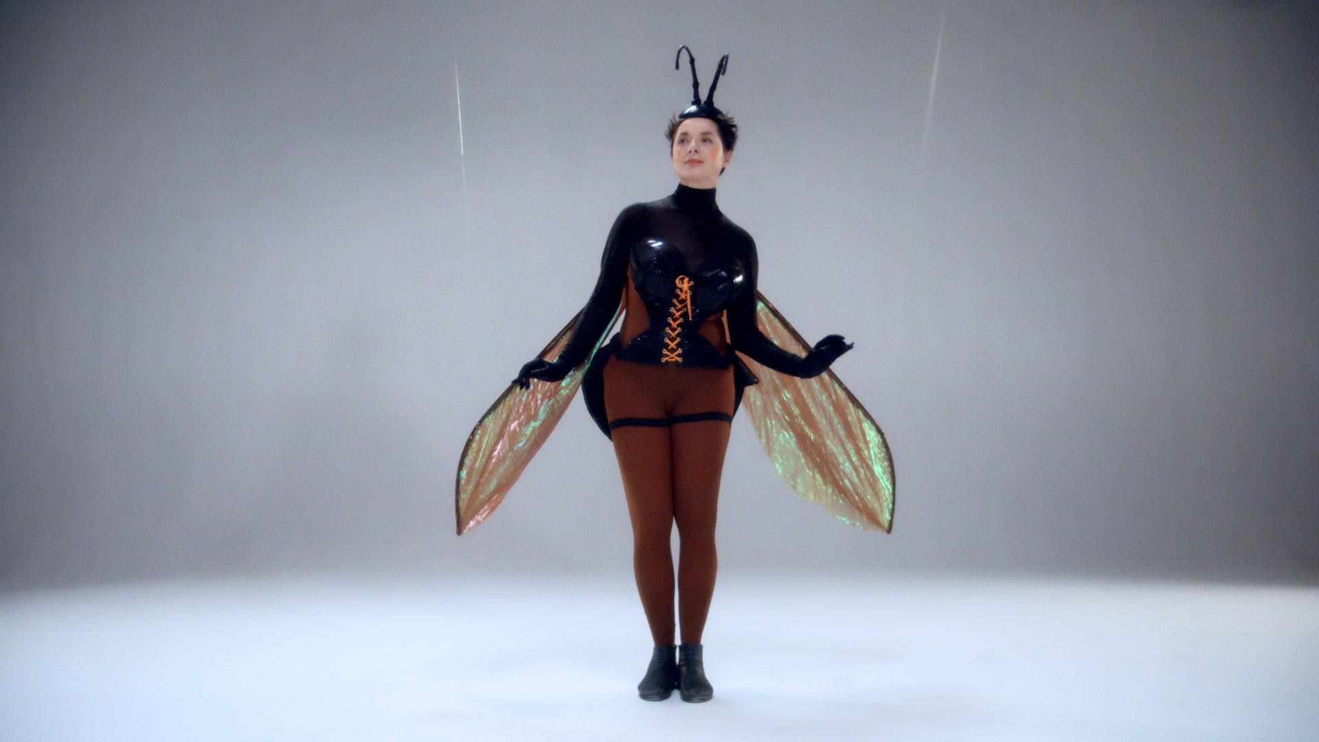 Wasp