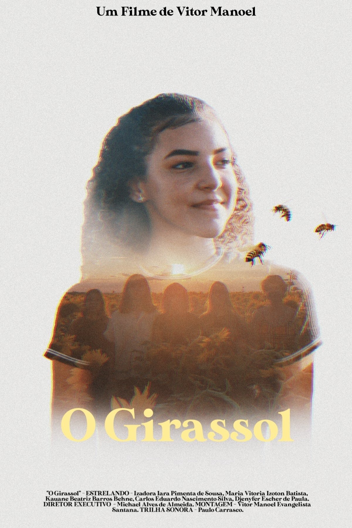 Poster de O Girassol