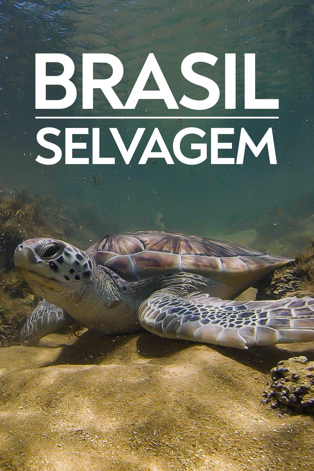 Poster de Costa Brasileira