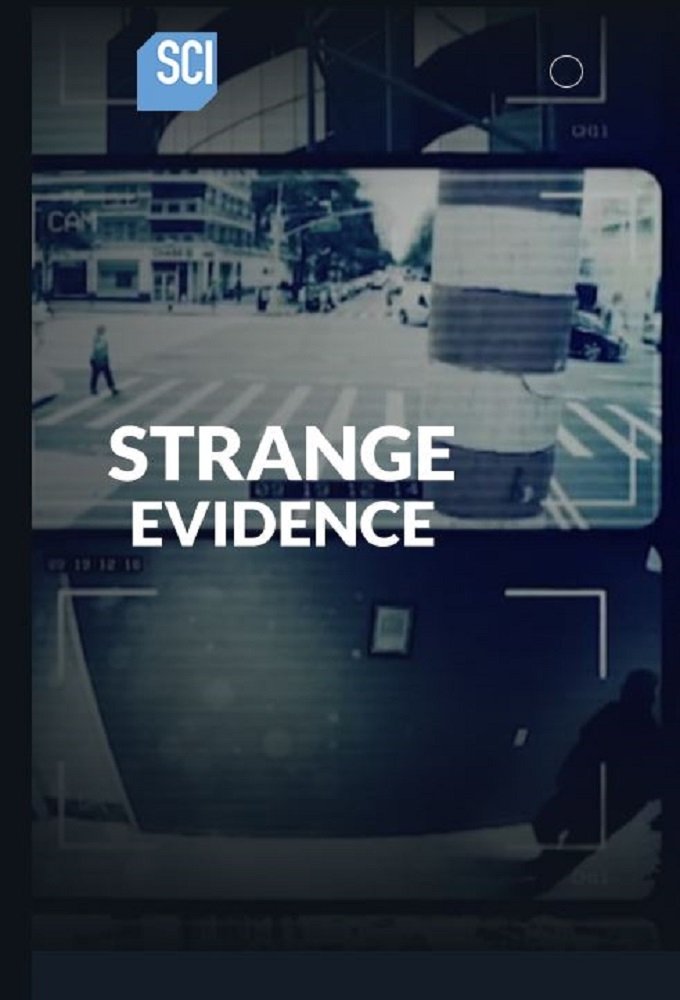 Poster de Strange Evidence
