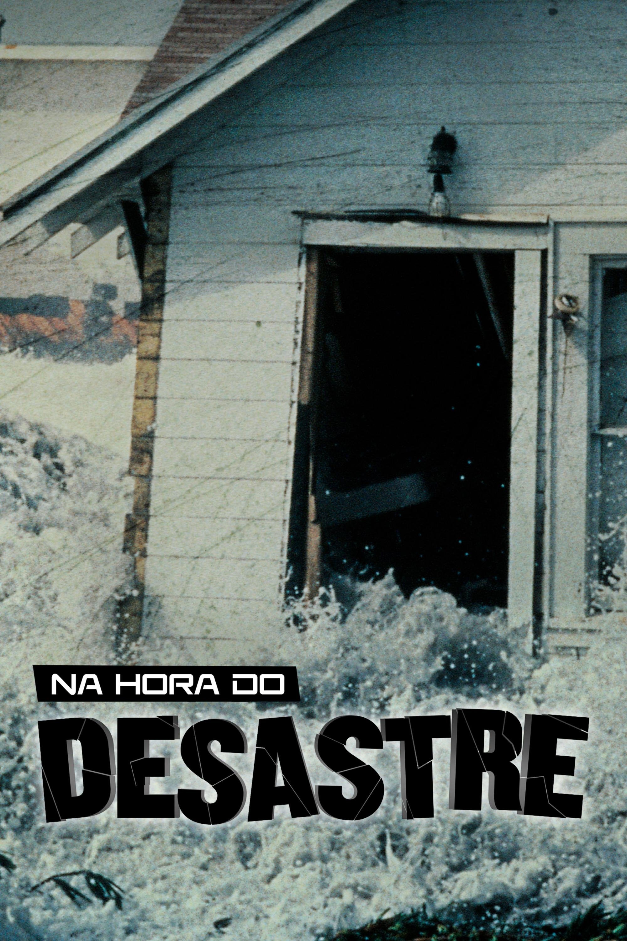 Poster de Na Hora do Desastre