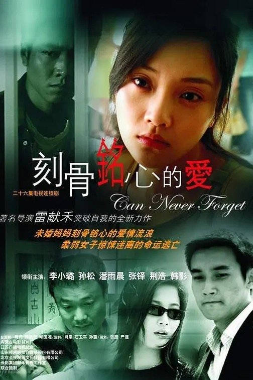 Poster de 刻骨铭心的爱