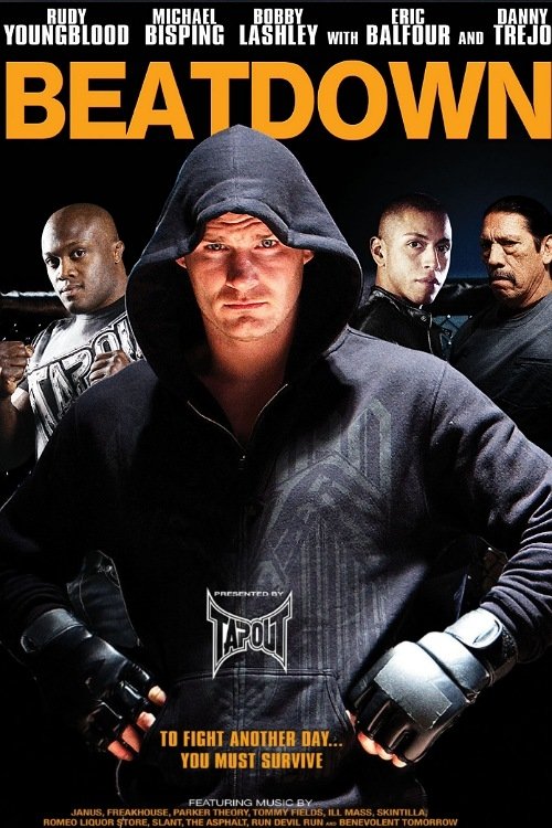 Poster de Nocaute