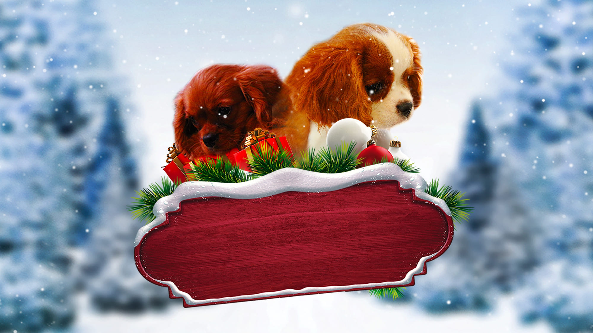 Project: Puppies for Christmas 2019 Soap2Day