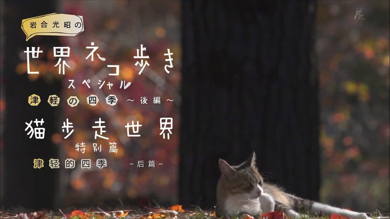 The Four Seasons of Tsugaru (Part 2)