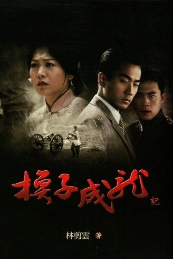 Poster de 换子成龙