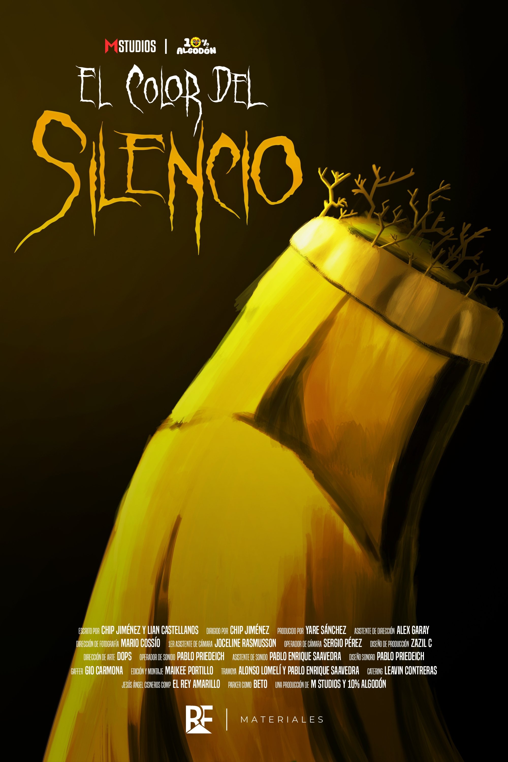 Poster de El Color del Silencio