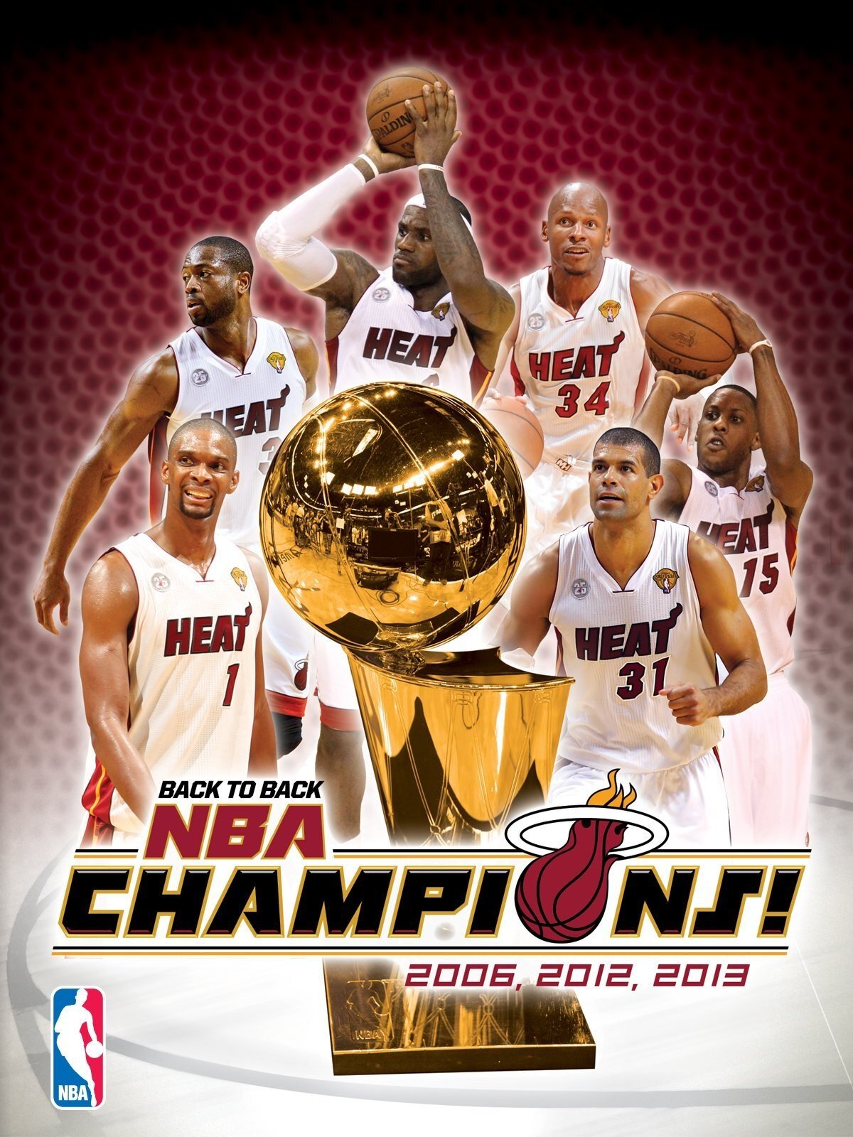 Affiche du film 2013 NBA Champions: Miami Heat