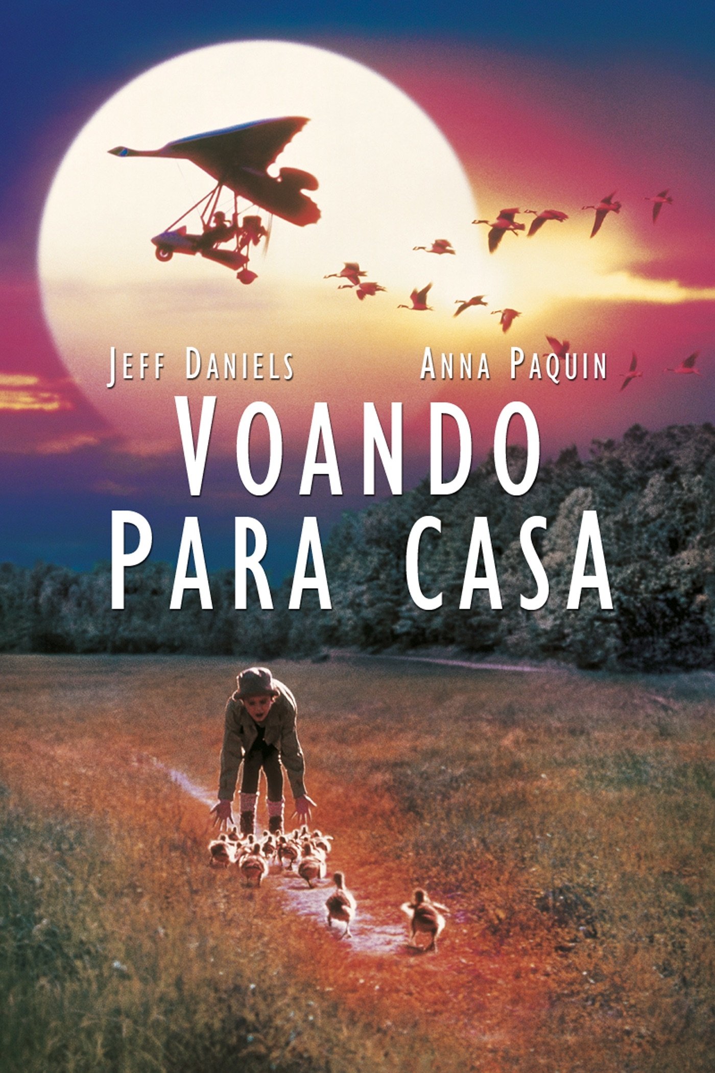 Poster de Voando para Casa