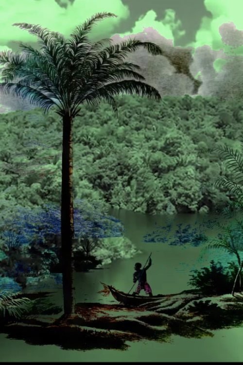 Poster de A conquista da floresta