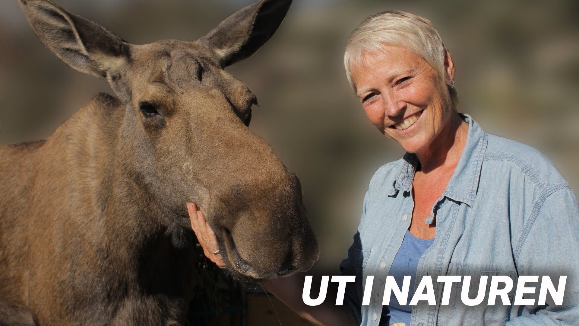 Ut i naturen