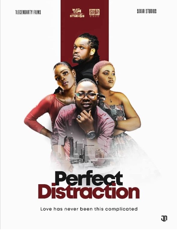 Poster de Perfect Distraction