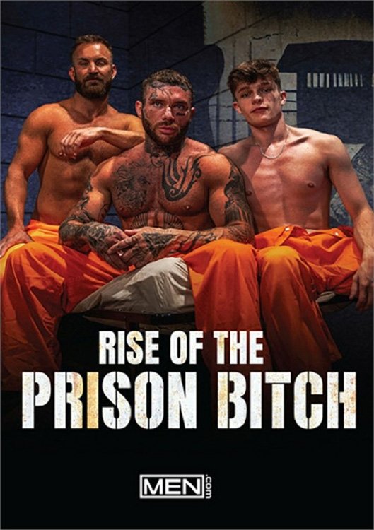 Poster de Rise of the Prison Bitch