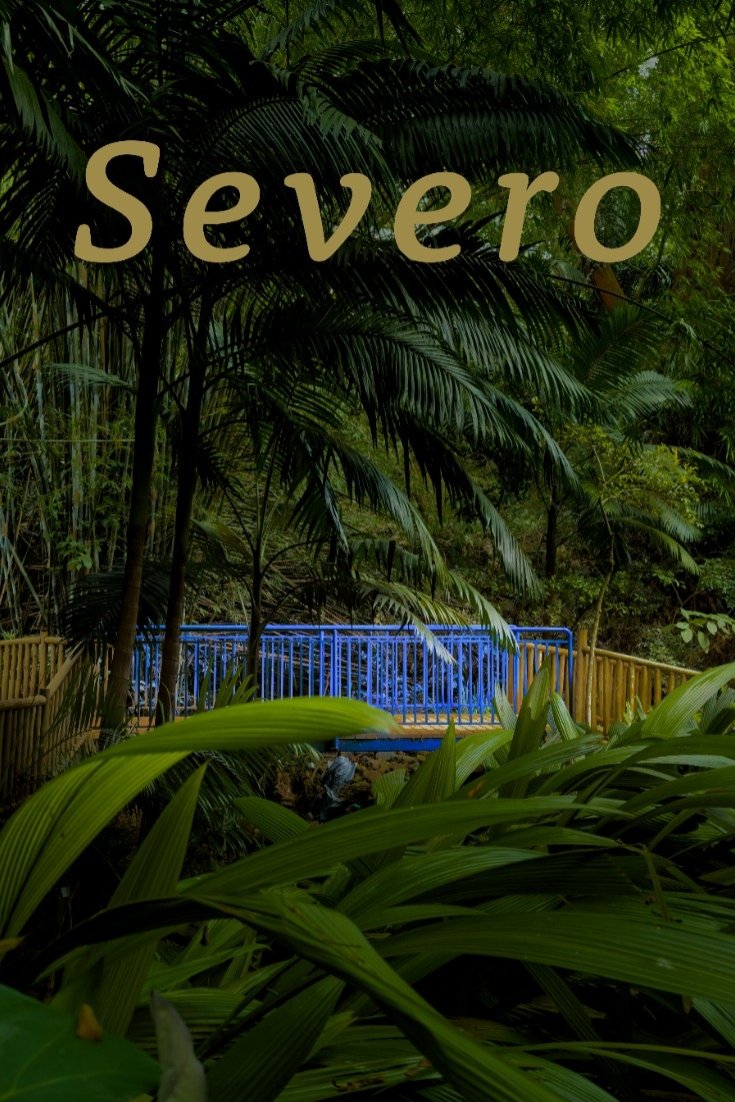 Poster de Severo