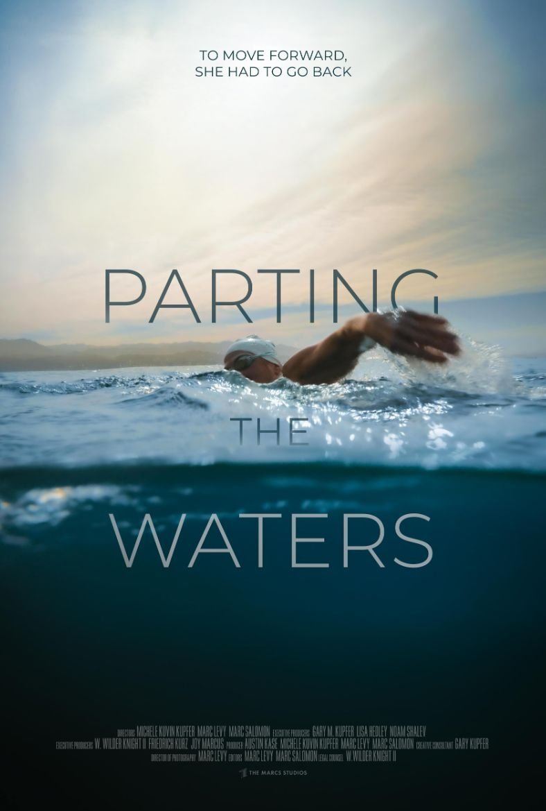 Poster de Parting the Waters