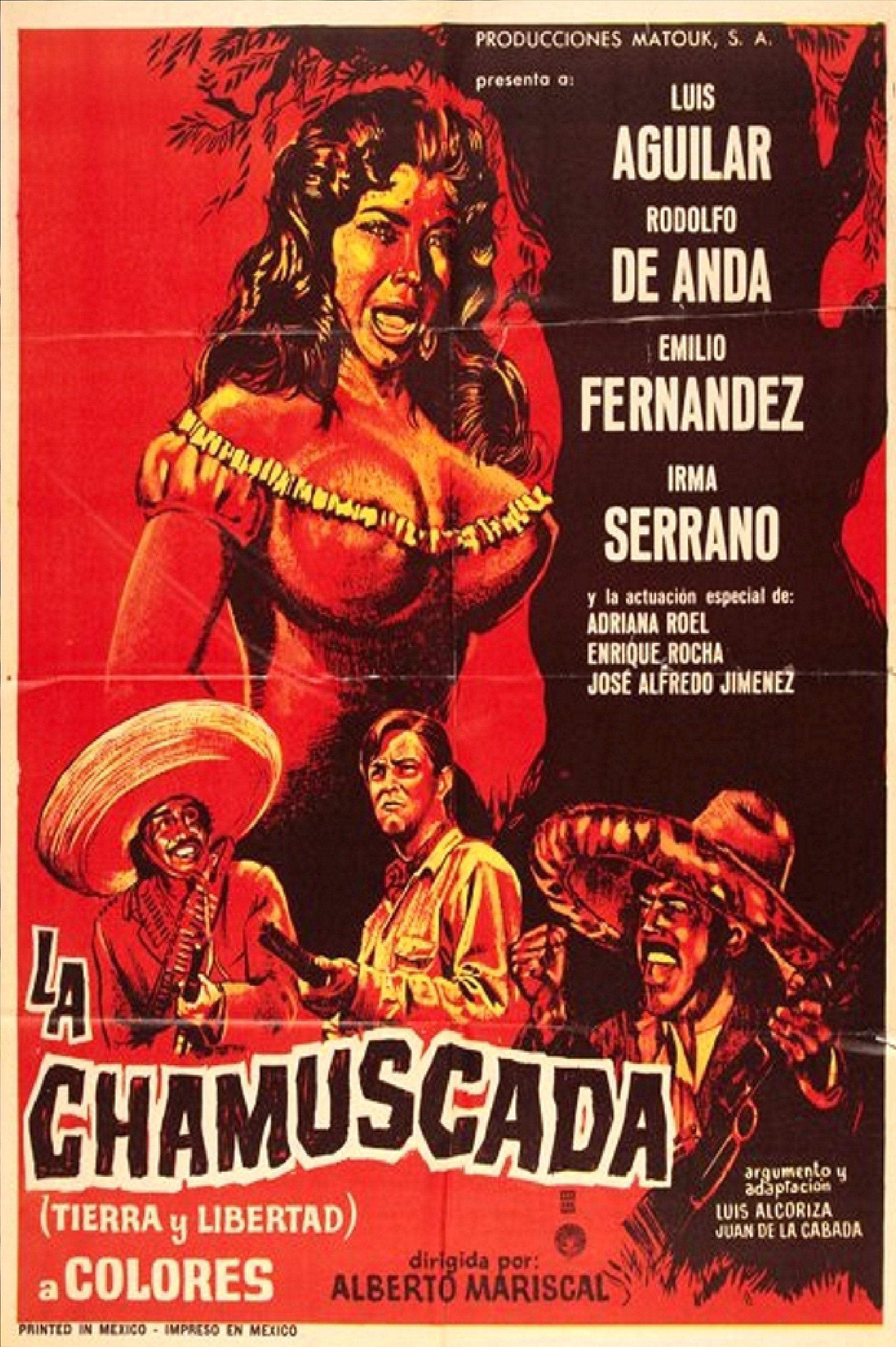 Poster de La chamuscada (Tierra y libertad)