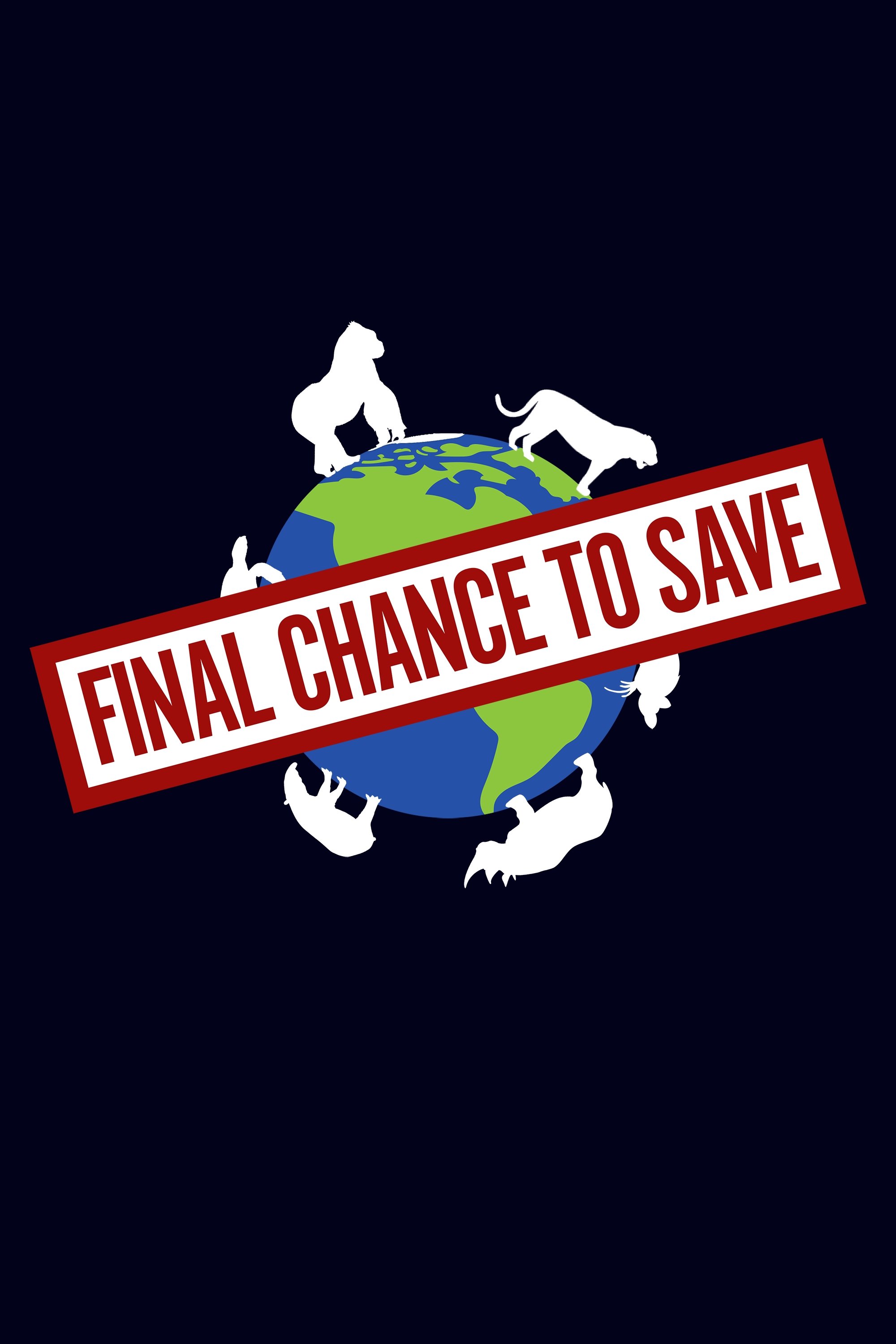 Poster de Final Chance to Save