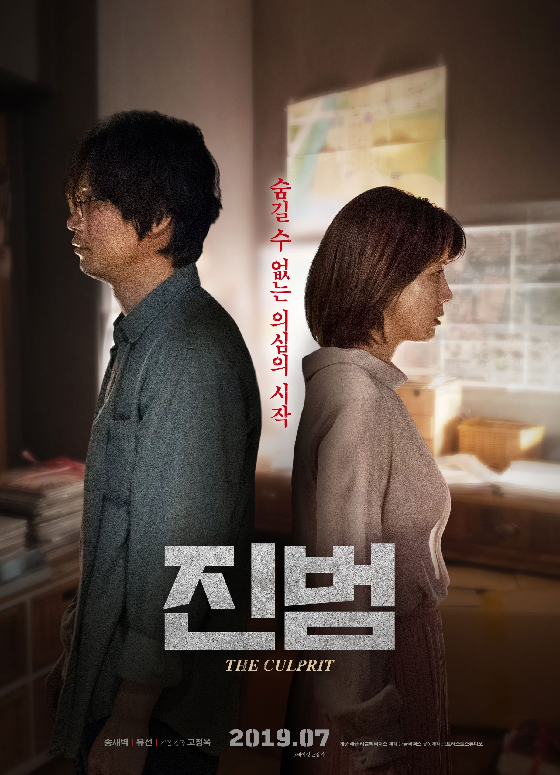 Poster de 진범