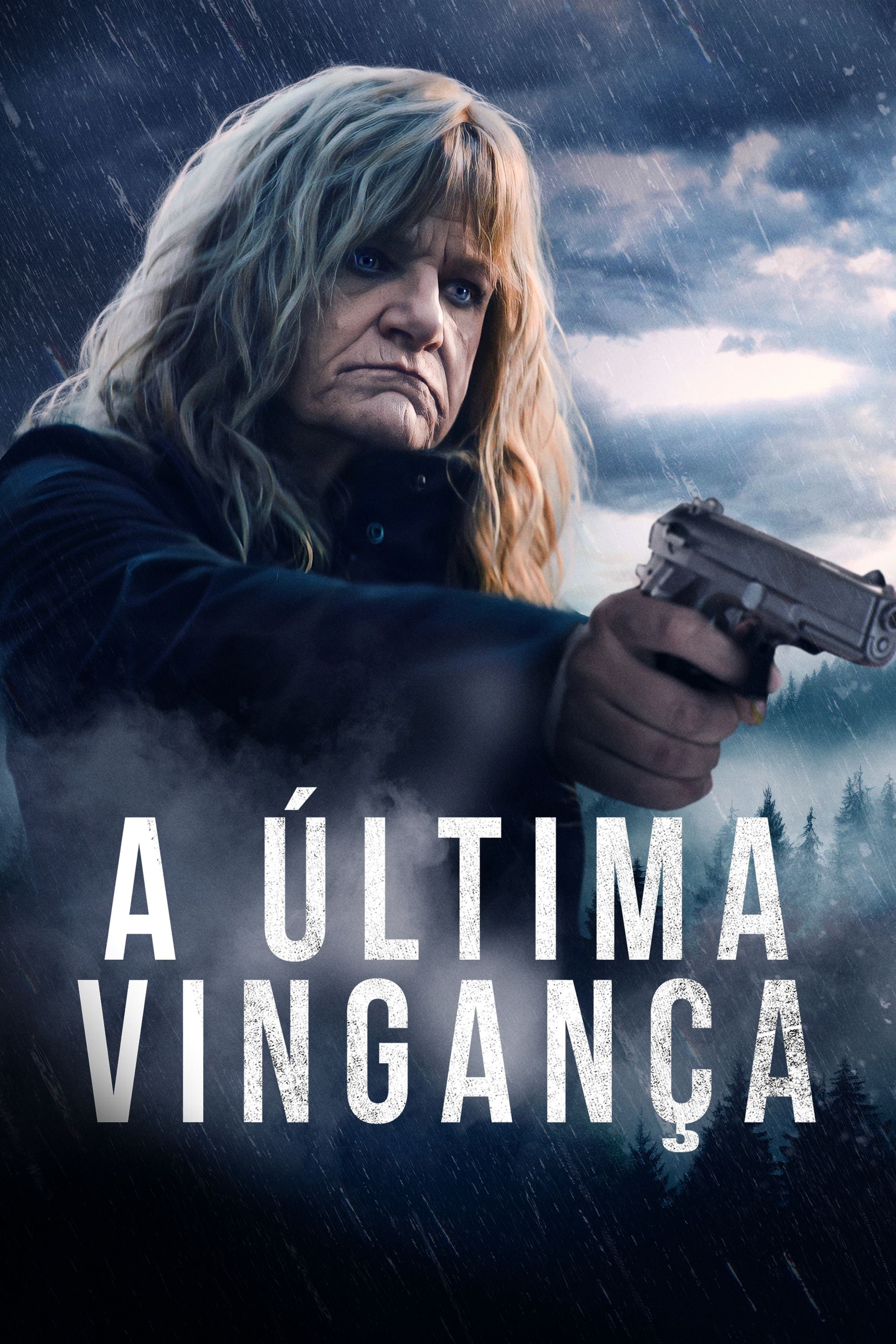 Poster de A Última Vingança