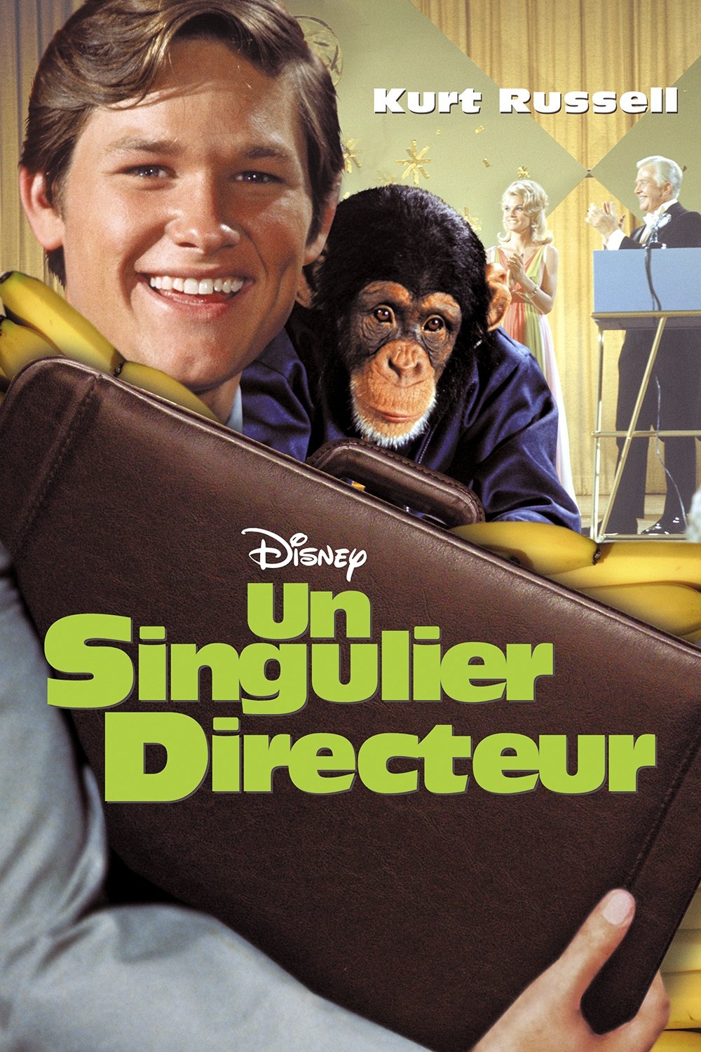 Affiche du film Un singulier directeur