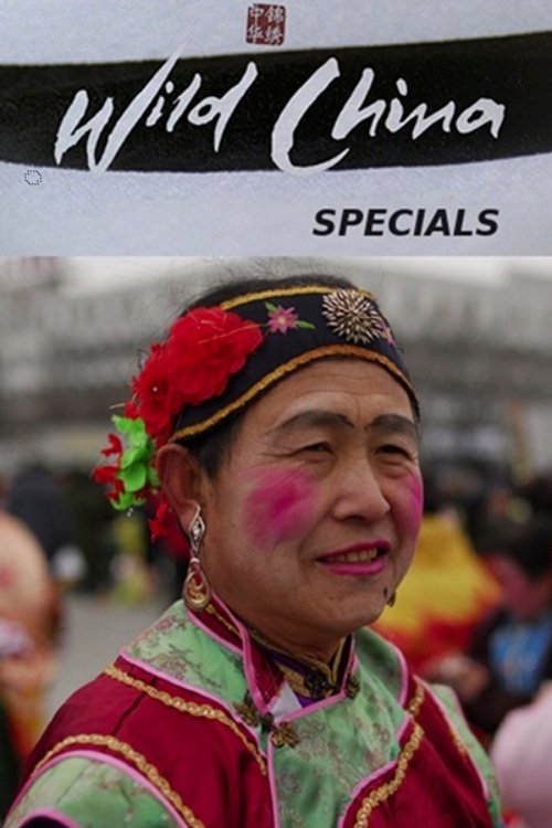 Poster de Especiais