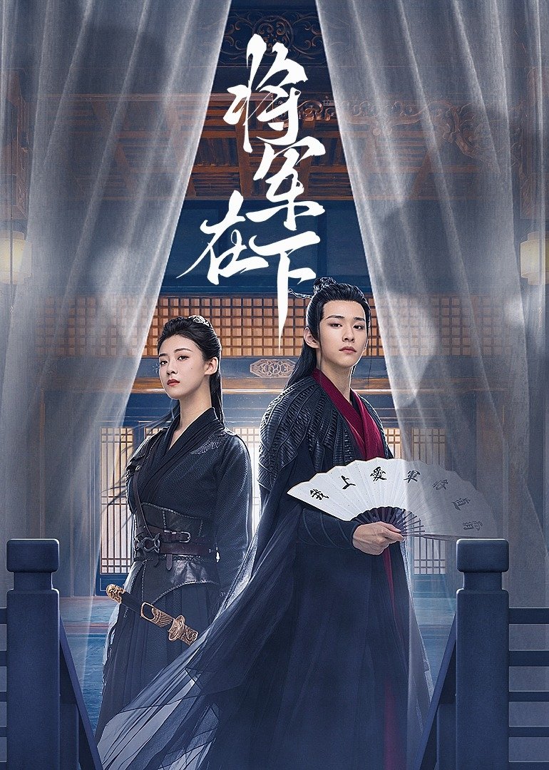 Poster de 将军在下