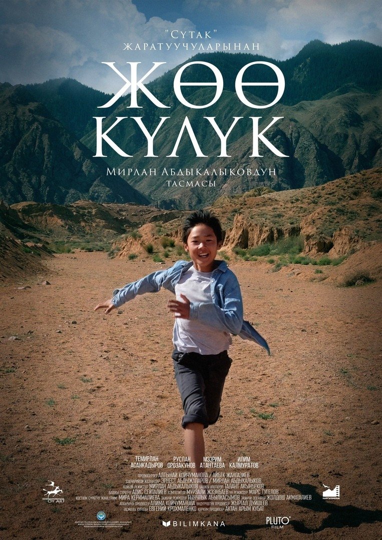 Poster de Running to the Sky