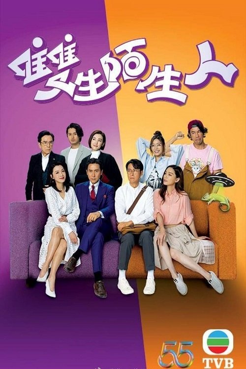 Poster de 雙生陌生人