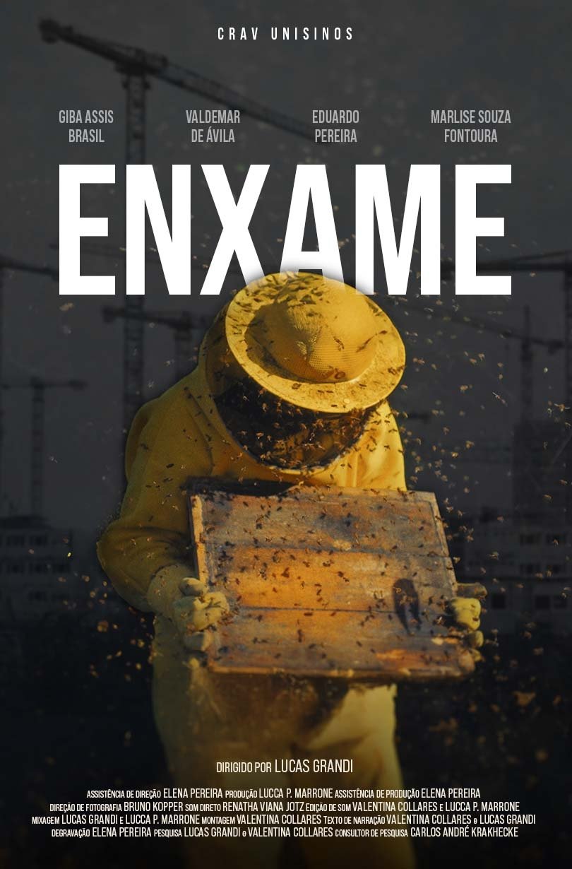 Poster de Enxame