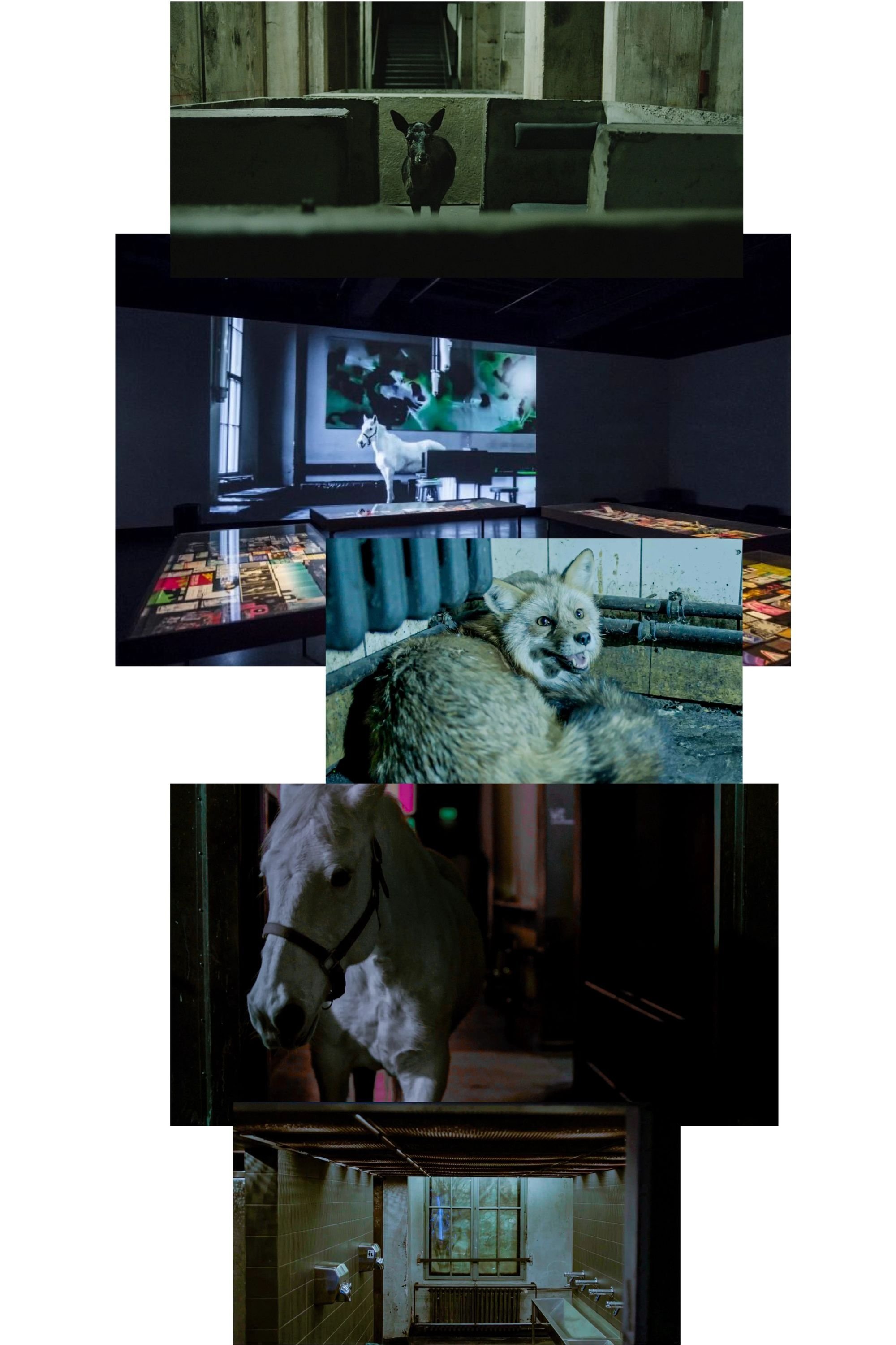 Poster de After Hours