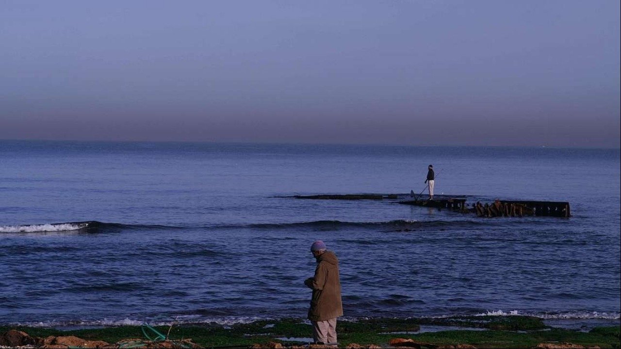 Bahïa Bencheikh-El-Fegoun